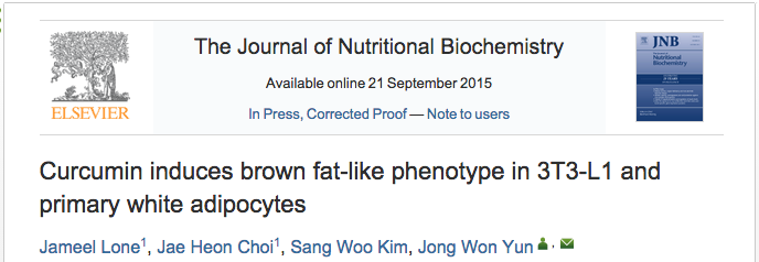 Curcumin Brown Fat
