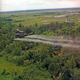 Military aircraft spraying agent orange