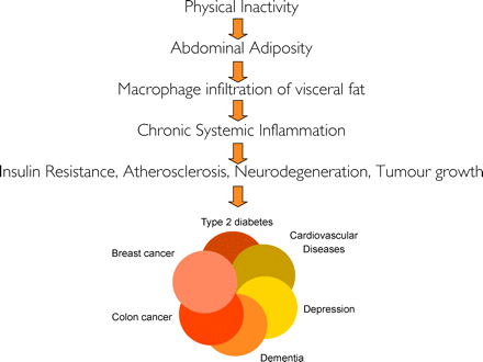 Diseasome of Physical Inactivity