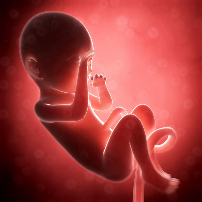 The Tiniest Ones: Doctors Ignore Data on Premies