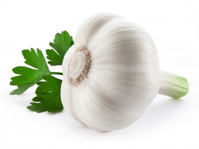 Garlic