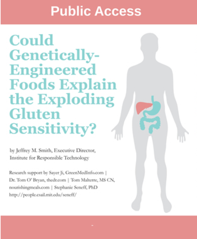 News Release: GMOS Linked to Exploding Gluten Sensitivity Epidemic (FREE PDF)