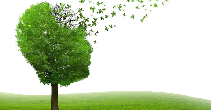 Drug Free Approach Cuts Alzheimer's Risk In Half