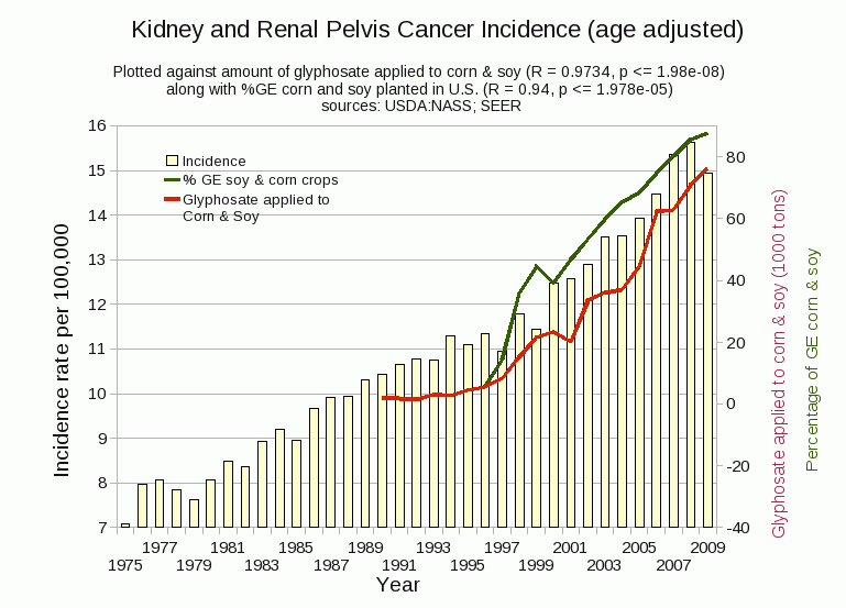 'Kidney and Renal Pelvis Cancer Incidence'