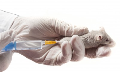 The Experiment Is on Us: Science of Animal Testing Thrown into Doubt