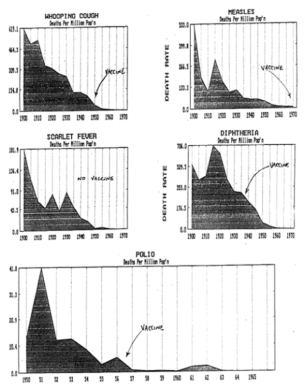 Documents Indicate That the Chicken Pox Vaccination Has Been Added to the MMR Without Our Knowledge