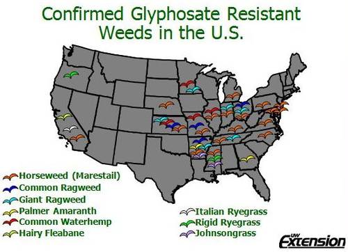Confirmed Glyphosate Resistant Weeds in U.S.