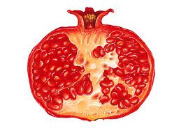 Pomegranate Can Serve As A Backup Ovary