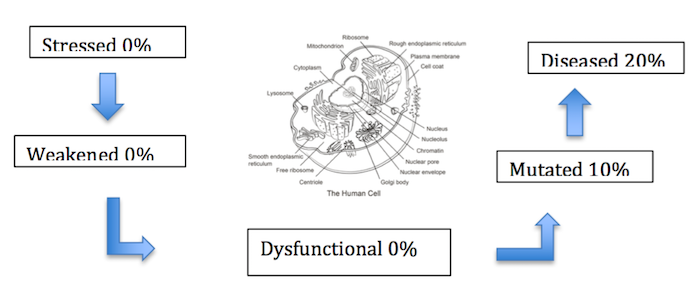 Preventing Disease Before It Starts