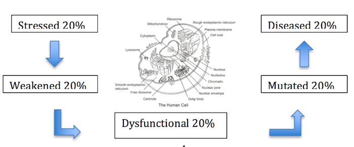 Preventing Disease Before It Starts