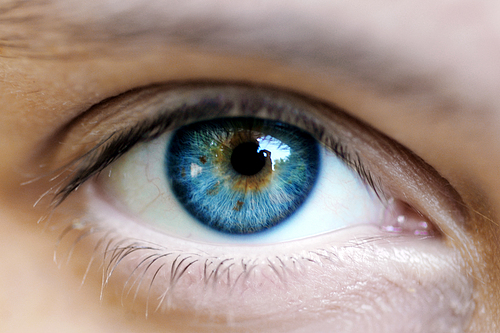 The Human Eye Emits Light