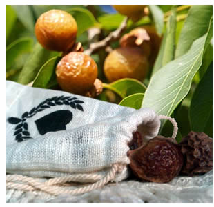 Soap Nuts - The natural laundry soap