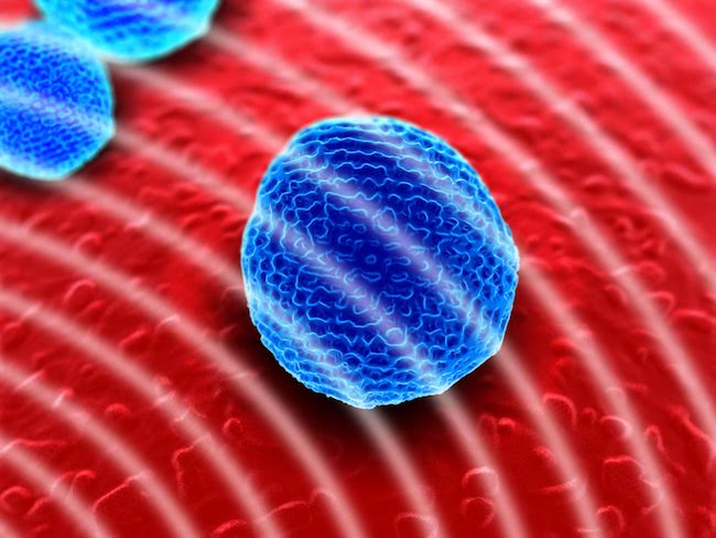 Rediscovering the Art and Science of Sound Therapy