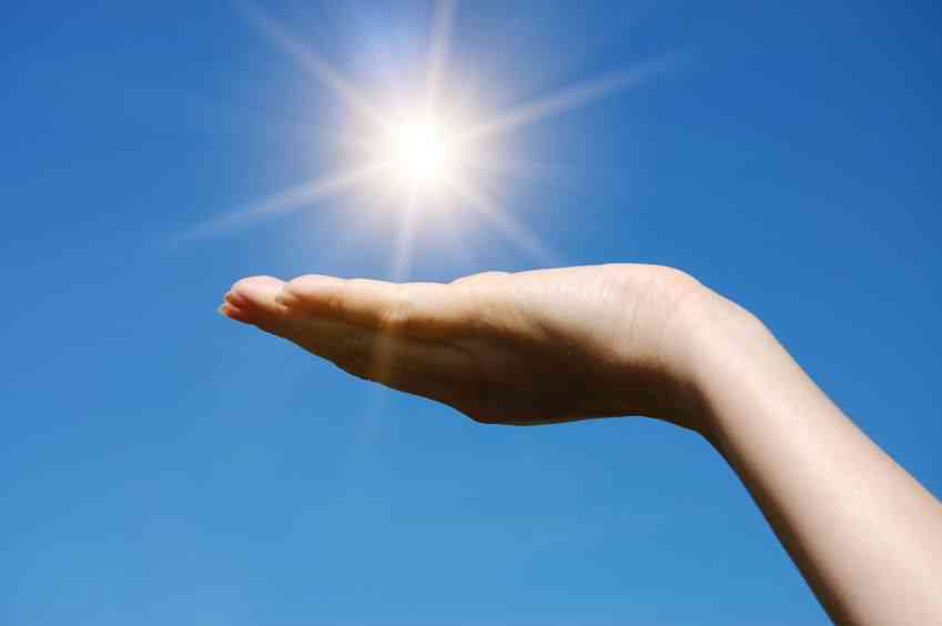 Groundbreaking Discovery: Animal Cells Powered by Sunlight/Chlorophyll