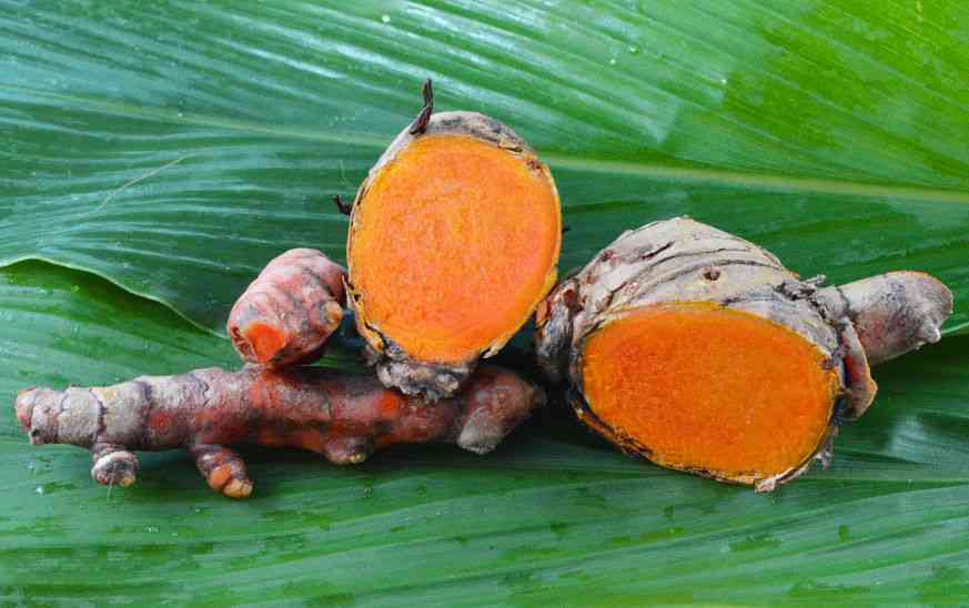 Turmeric's Healing Power: A Physical Manifestation of Compassion?