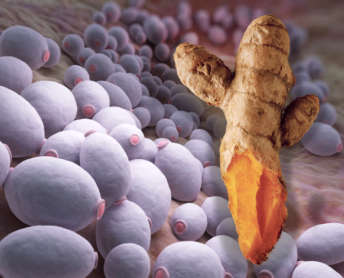 Yeast Is A Cause of Cancer And Turmeric Can Kill Both, Research Confirms