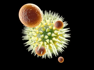 antibody theory debunked