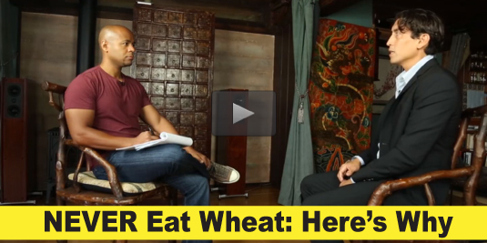 Never Eat Wheat: Here's Why!